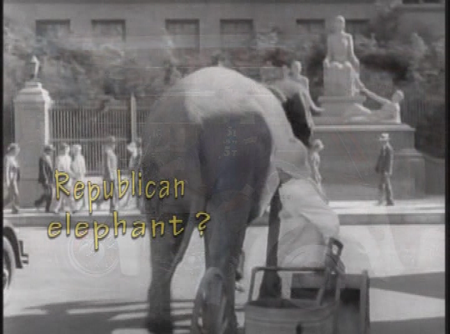 Thumbnail image for Not Just Rock and Roll - Easter Show