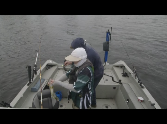 Thumbnail image for Vermont Master Angler - River Walleye June 24th