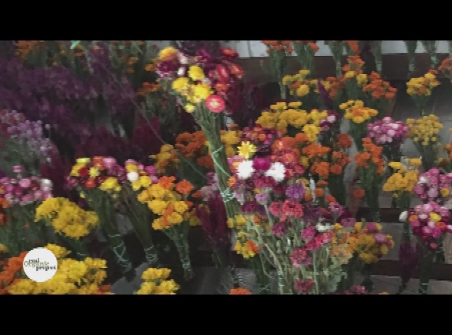 Thumbnail image for Real Organic Project Full Belly Farm - California