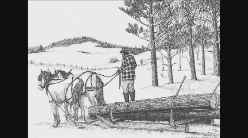 Dracut Arts - Ingeborg Seaboyer