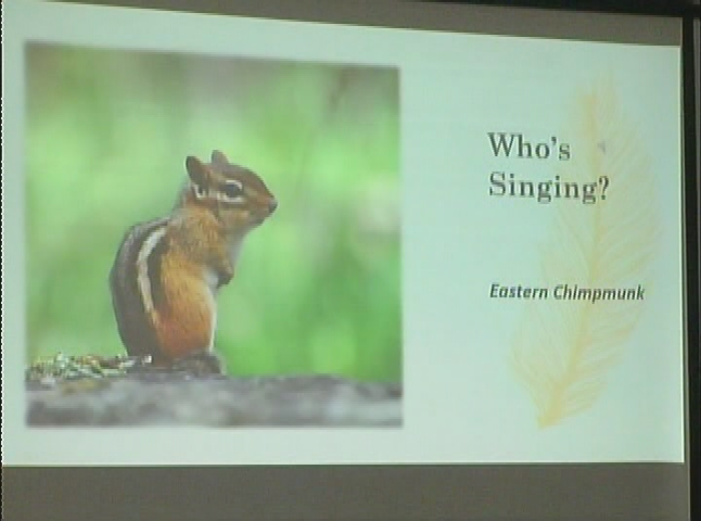 Thumbnail image for Osher - Bird Song Tune Up