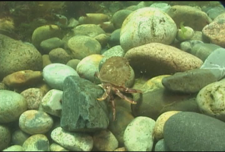 Thumbnail image for Expedition New England - Brain Freeze