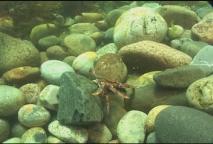 Thumbnail image for Expedition New England - Brain Freeze