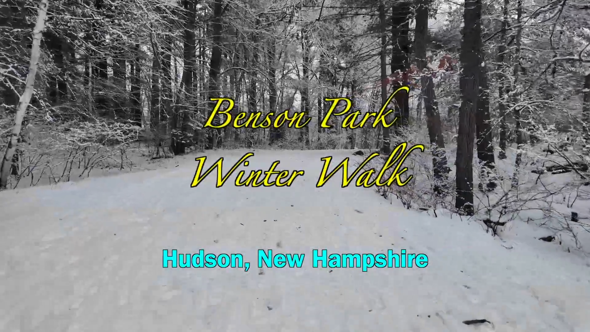 Thumbnail image for Benson Park Winter Walk 2026