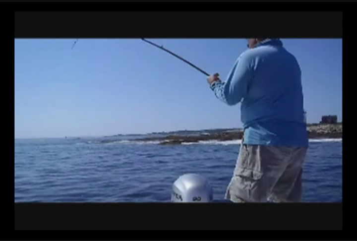 Thumbnail image for Nashua Public Library presents Sun, Suds and Stripers