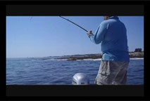 Thumbnail image for Nashua Public Library presents Sun, Suds and Stripers