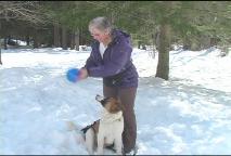 Thumbnail image for Doggy Dilemmas- ep133 Recalls