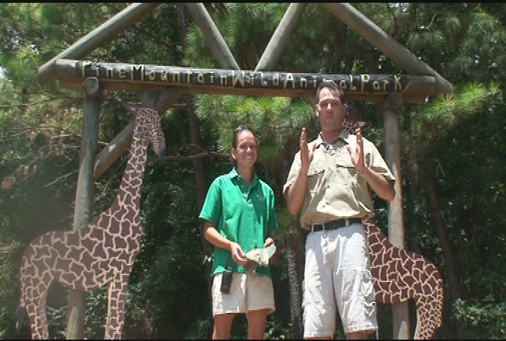 Thumbnail image for Animal House - Wild Safari