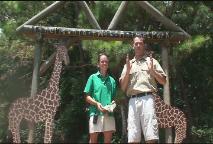 Thumbnail image for Animal House - Wild Safari