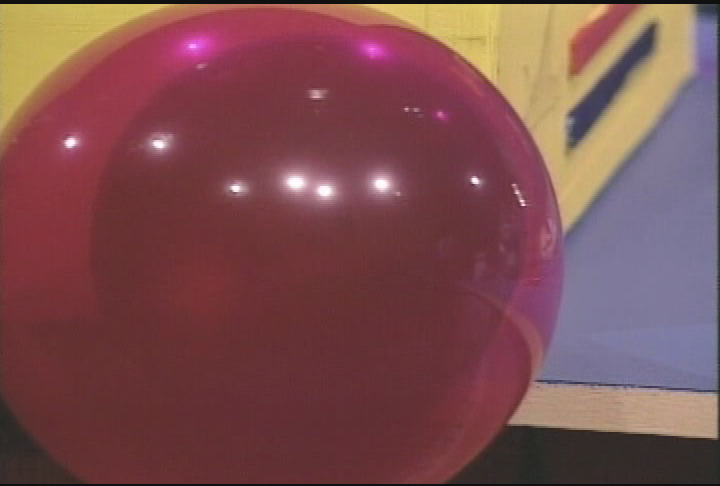 Thumbnail image for Lil Iguana-Photo Album