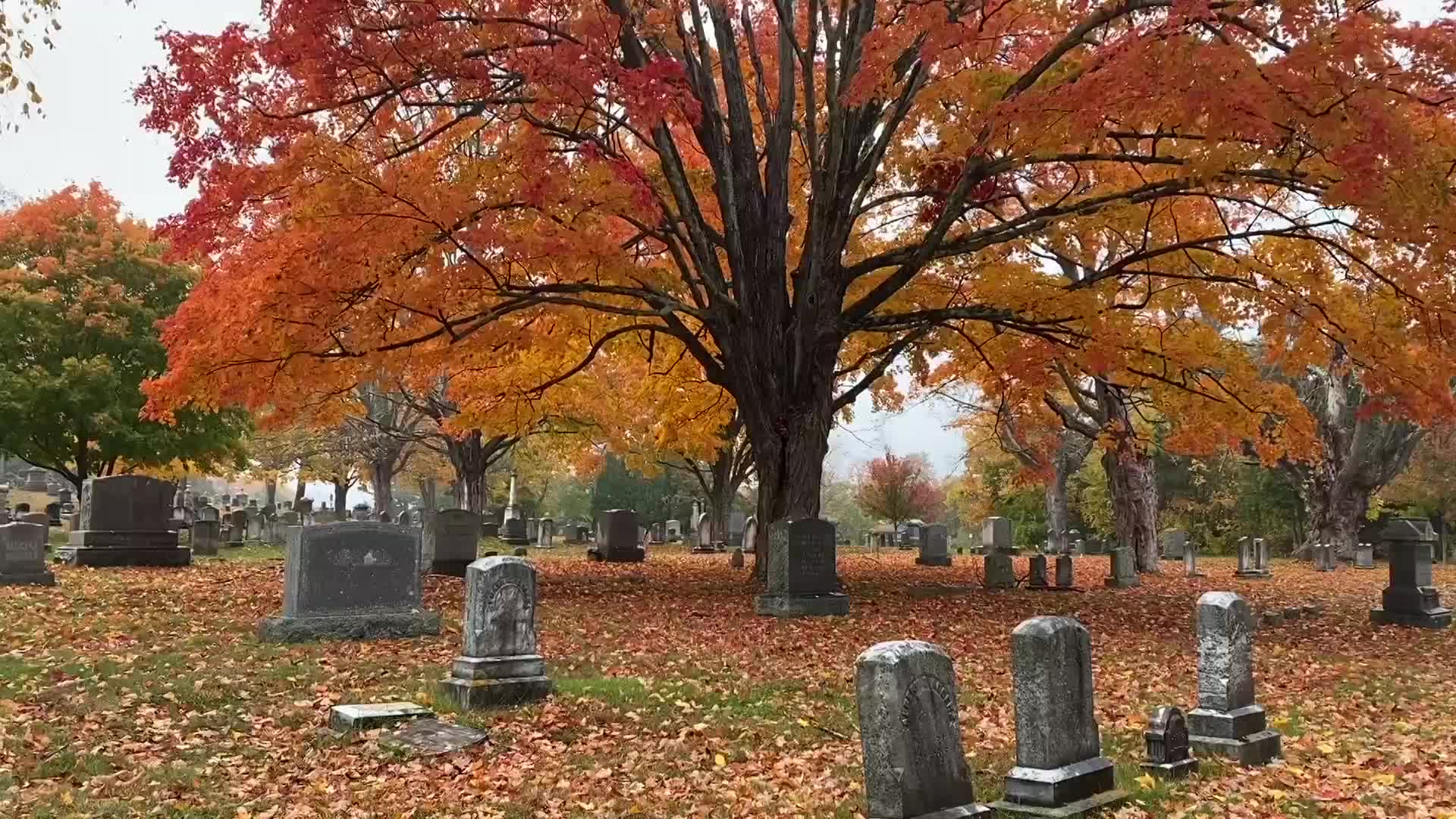 Ghost Chronicles the Next Generation - 2022 Halloween Special