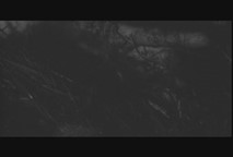 Thumbnail image for Midnite Mausoleum - Dementia 13