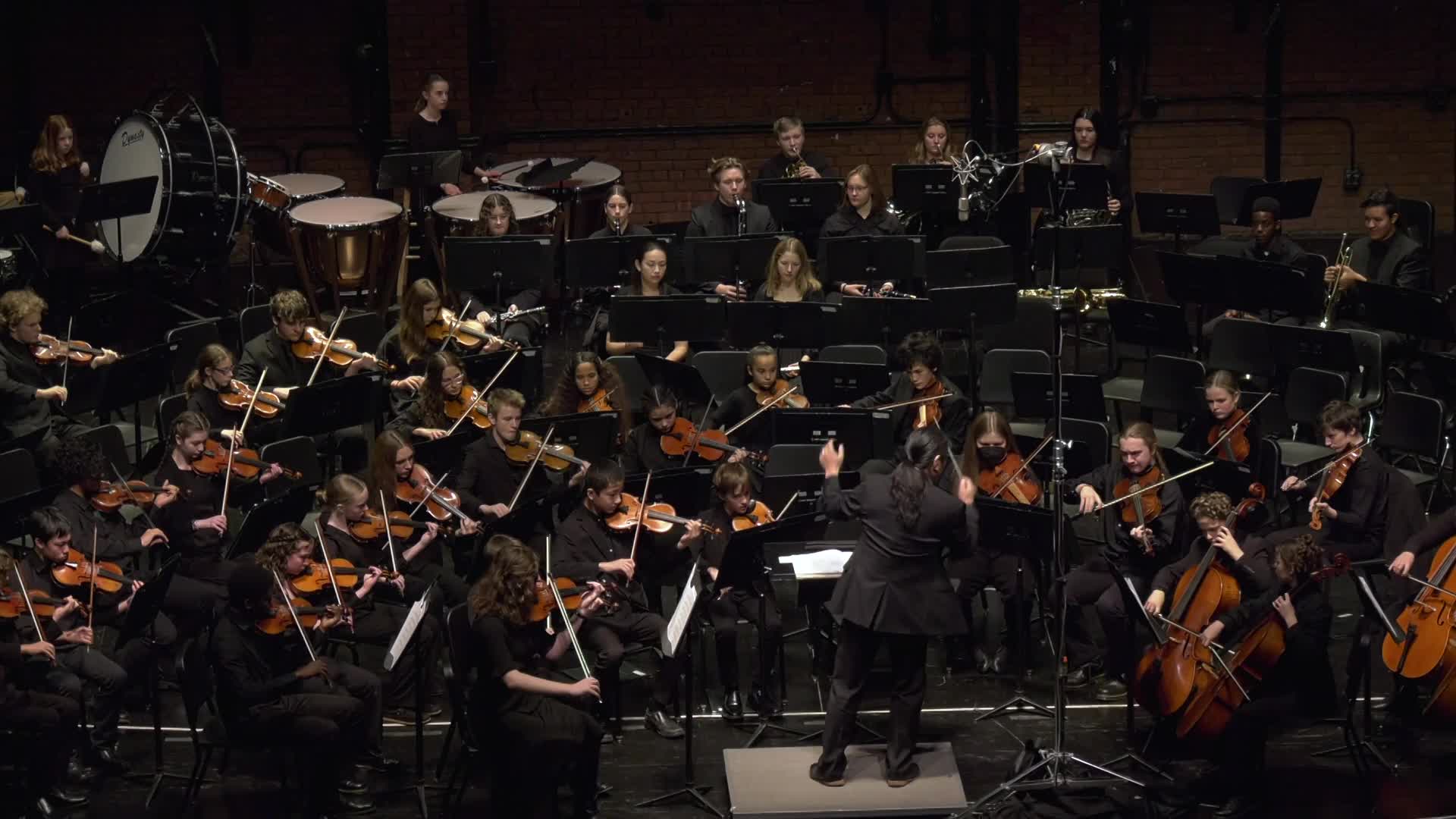 Vermont Youth Orchestra Shorts - The Beautiful Galatea