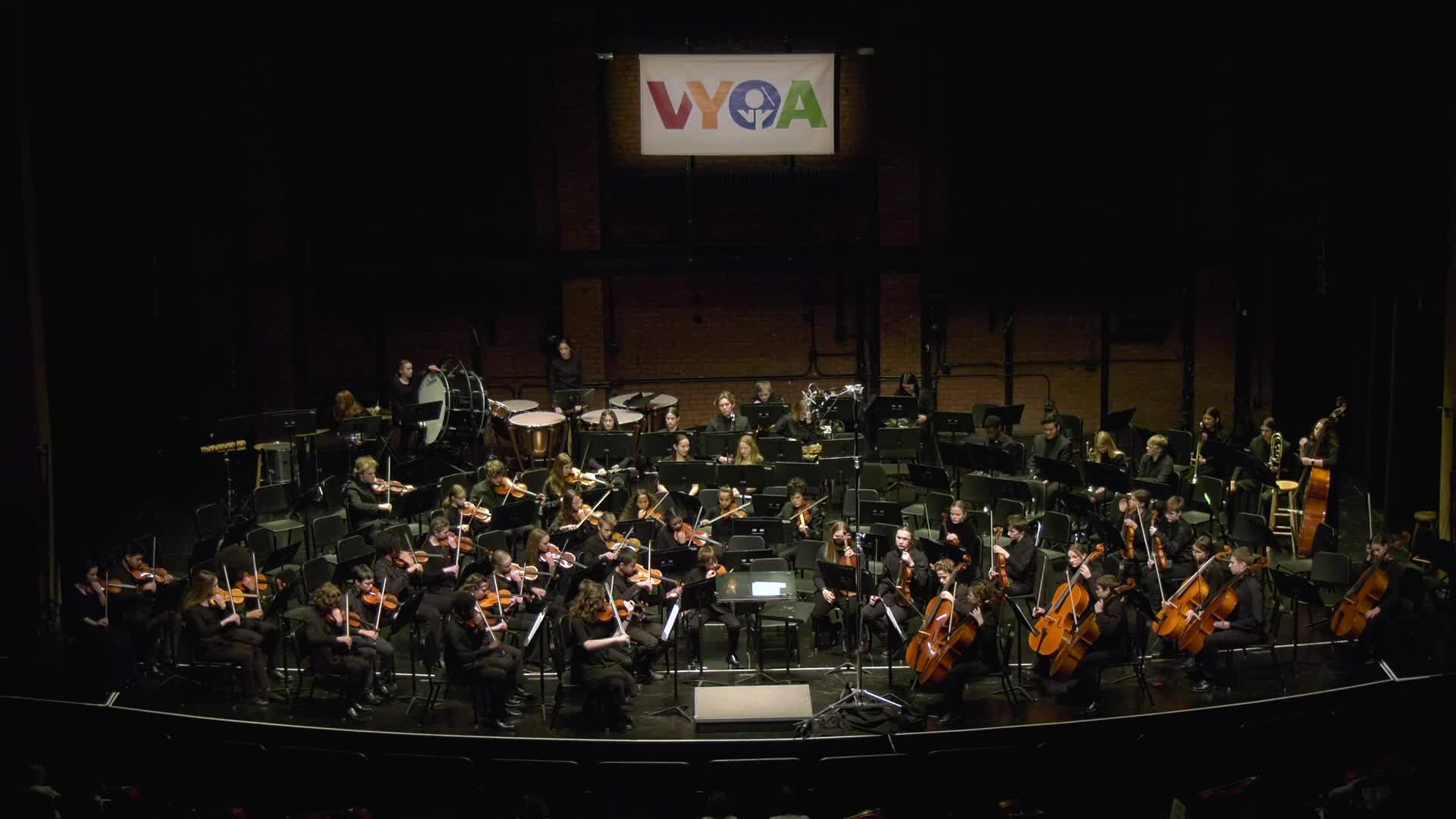 Vermont Youth Orchestra Shorts - The Moldau