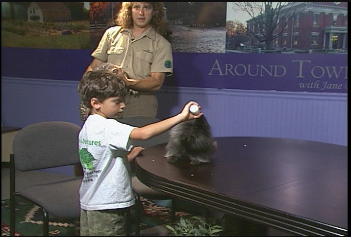 Thumbnail image for Around Town with Jane Bouvier - The Animal Show