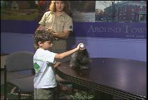 Thumbnail image for Around Town with Jane Bouvier - The Animal Show