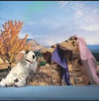 Thumbnail image for Fido and Friends - TRANSFORMATION