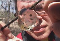 Thumbnail image for Expedition New England -Snakes, People and Pheromones