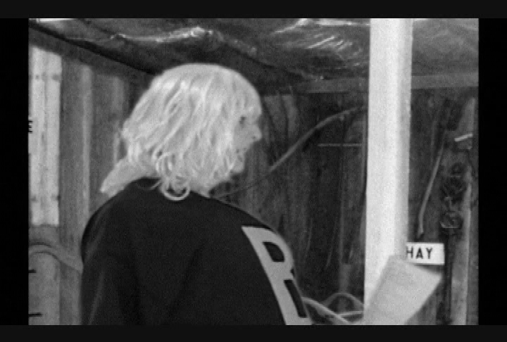 Thumbnail image for Yolotales - Sweep Revenge